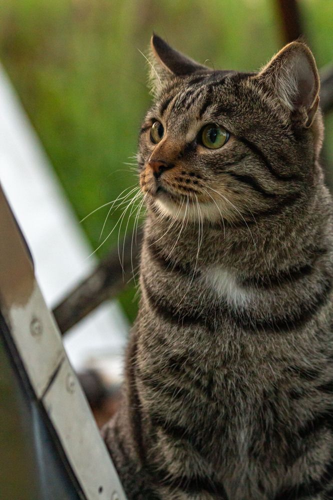 Photograph by Мария Степанова