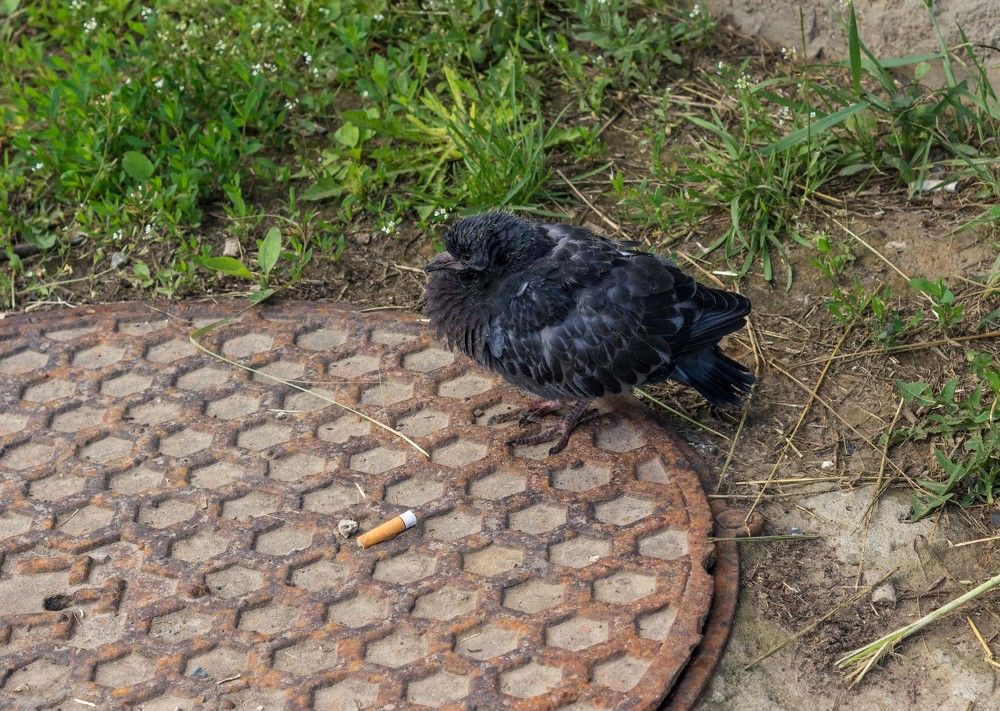 Бросаю курить! Учусь летать!!