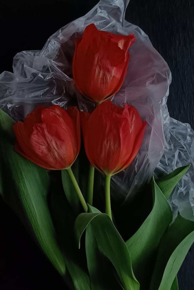 Photograph by Татьяна Смирнова