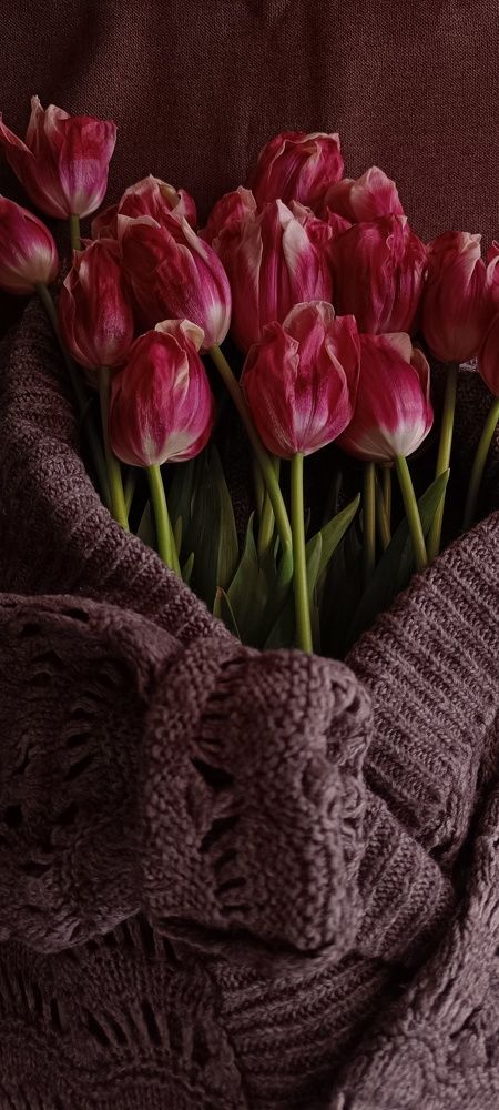 Photograph by Татьяна Смирнова