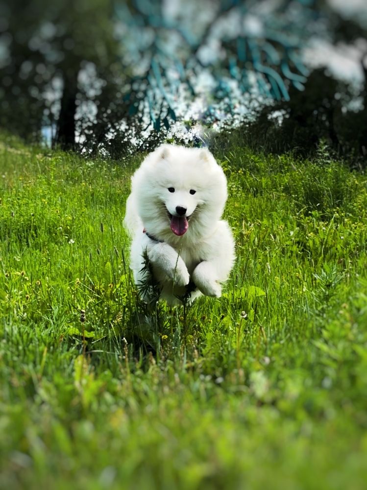 Photograph by Анастасия Конина