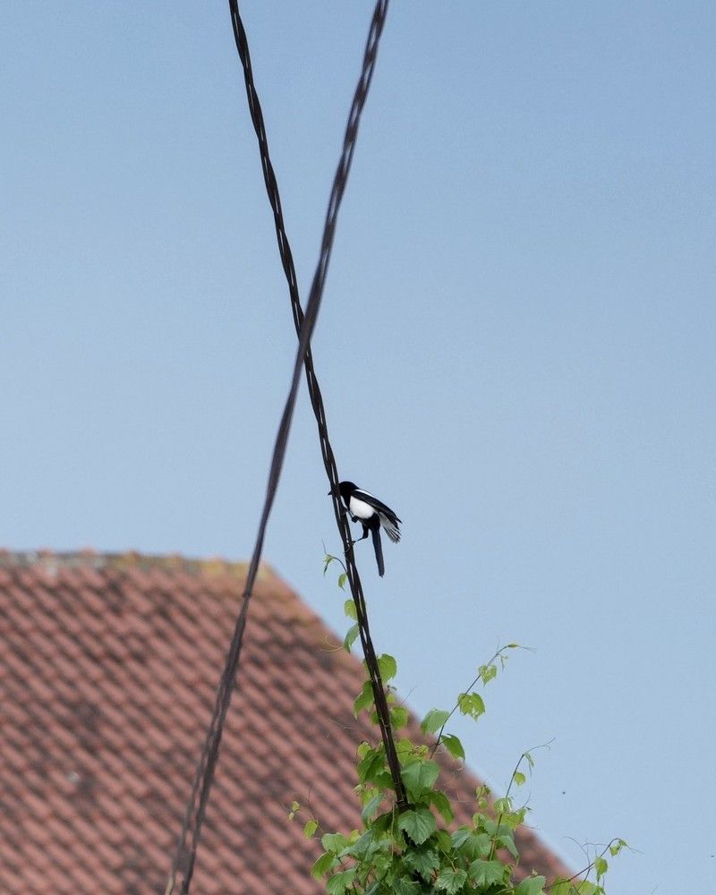 Фотография автора Nastasya Sablina