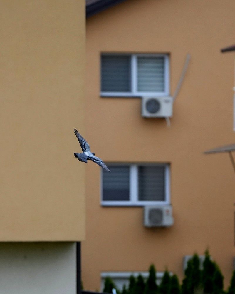 Фотография автора Nastasya Sablina