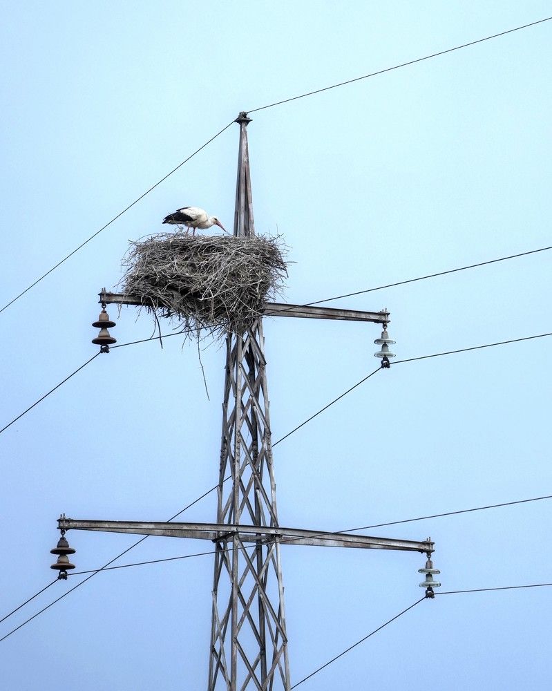 Фотография автора Nastasya Sablina