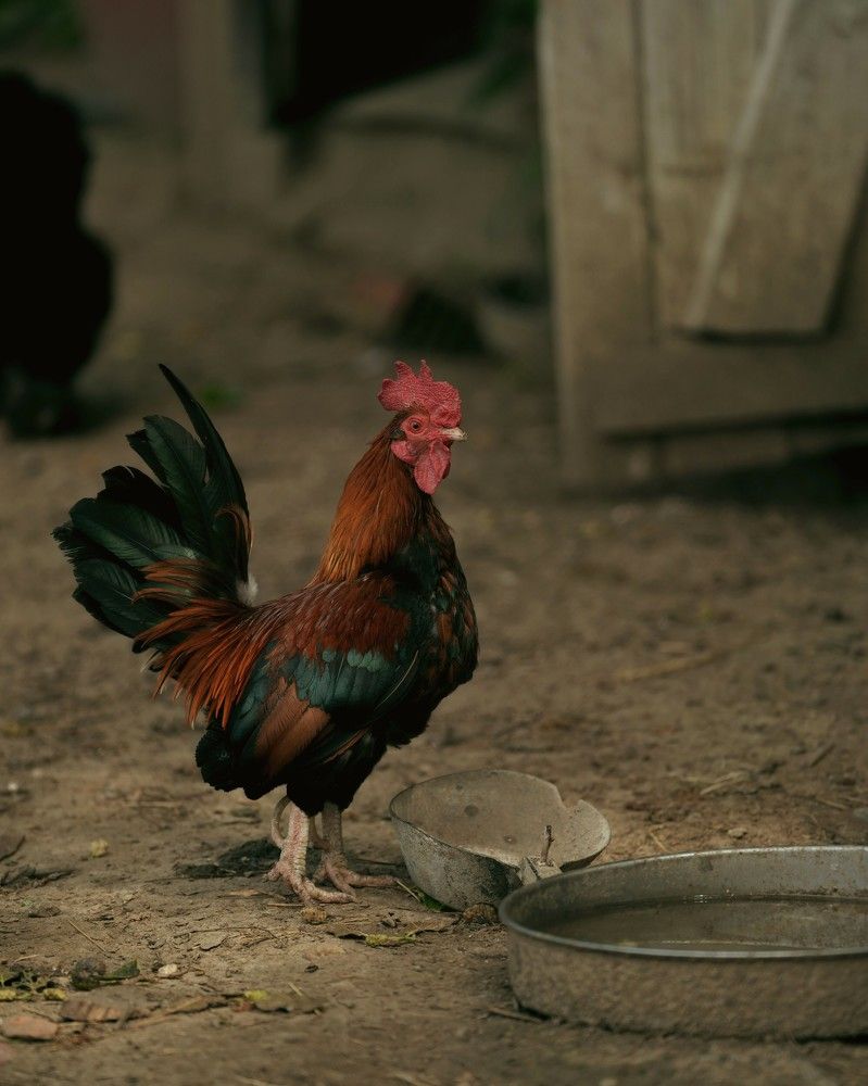 Фотография автора Nastasya Sablina