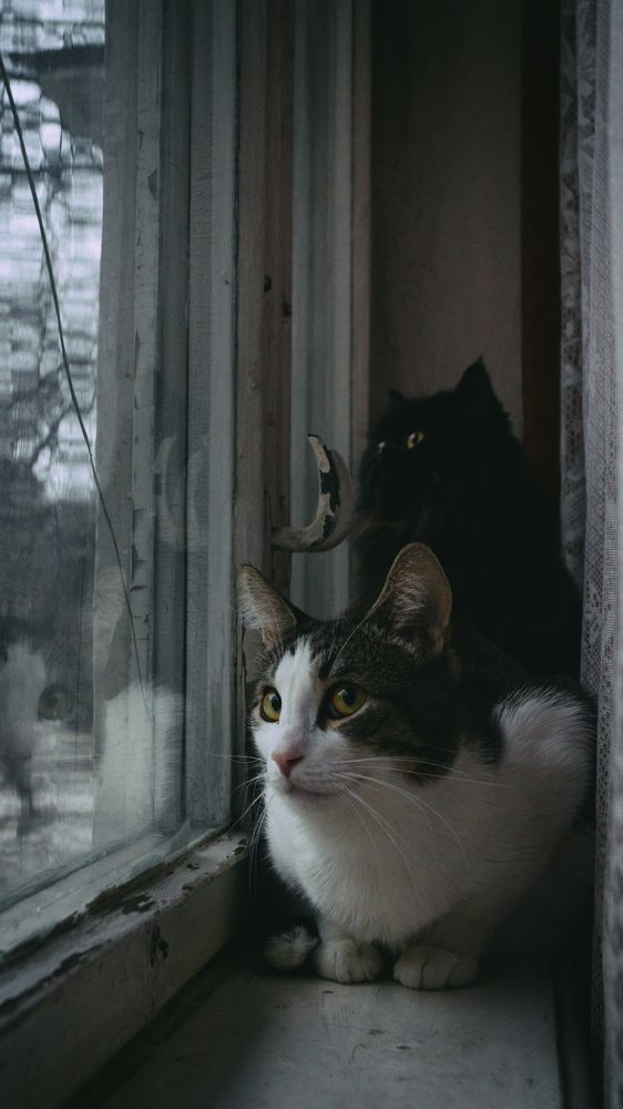Photograph by Наталья Ерохина