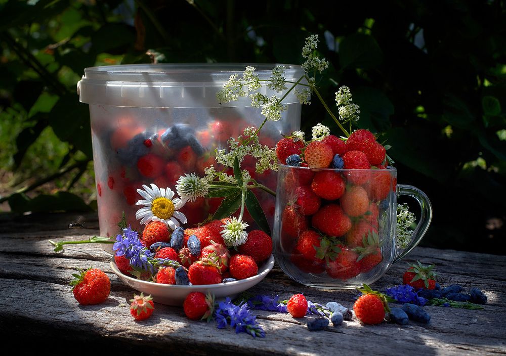 Photograph by Ткачёв Владимир