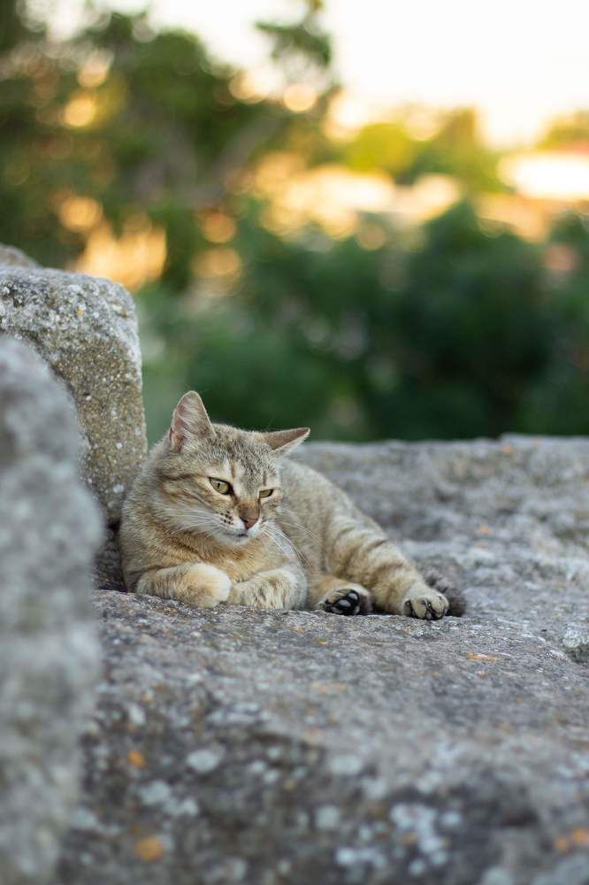 Photograph by Ольга Самылкина