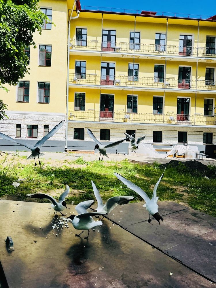 Photograph by Елена Маркова