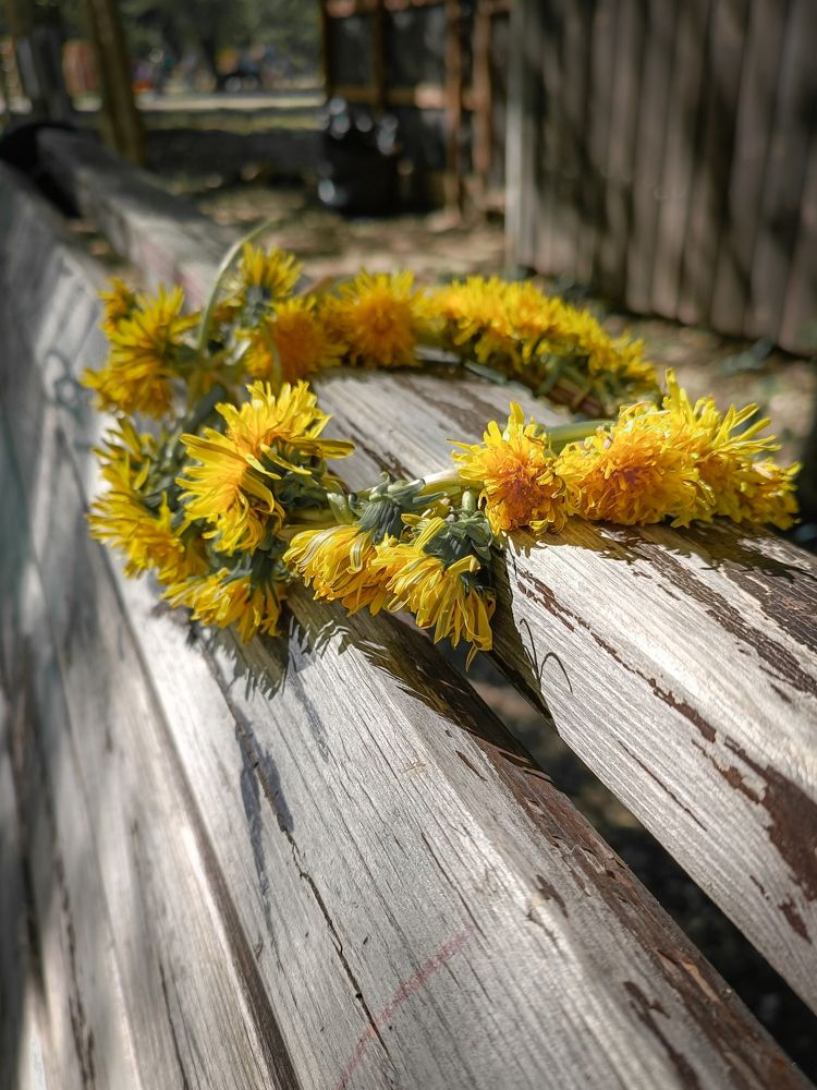 Photograph by Людмила