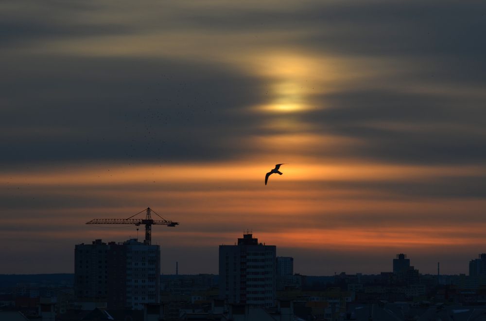 Фотография автора Антип