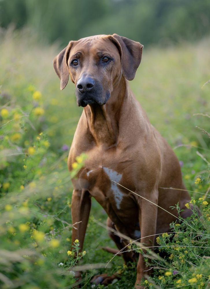 Photograph by Igor Drozdov