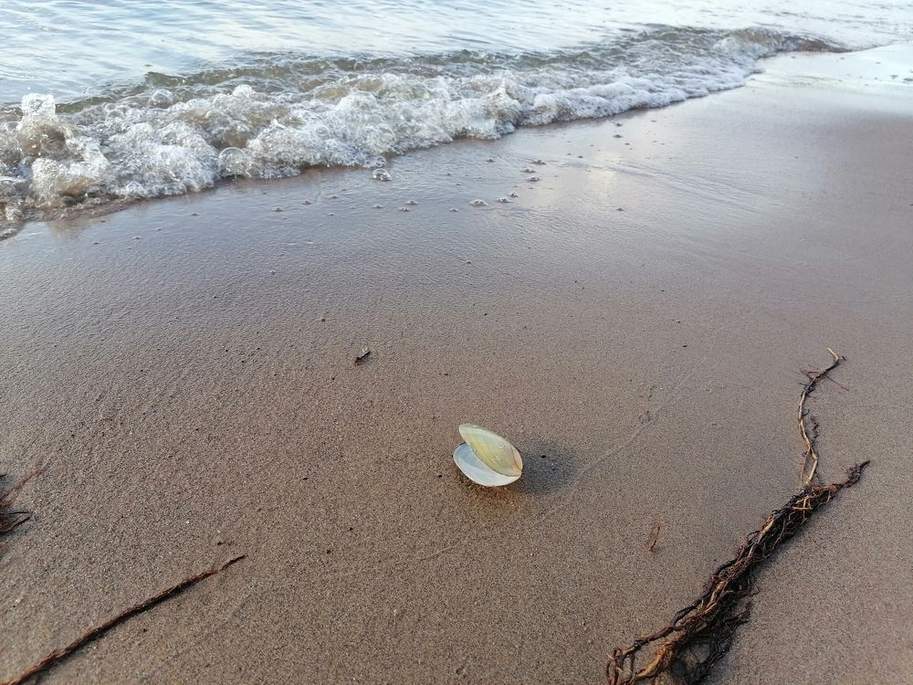 Photograph by Виктория Атласова