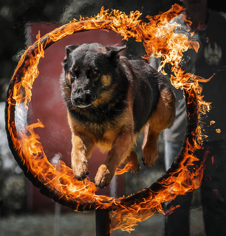 Photograph by Григорьева Юлия