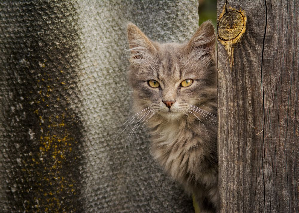 Photograph by Сергей Дишук