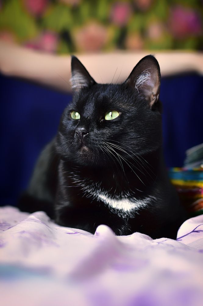 Photograph by Cергей Землянский