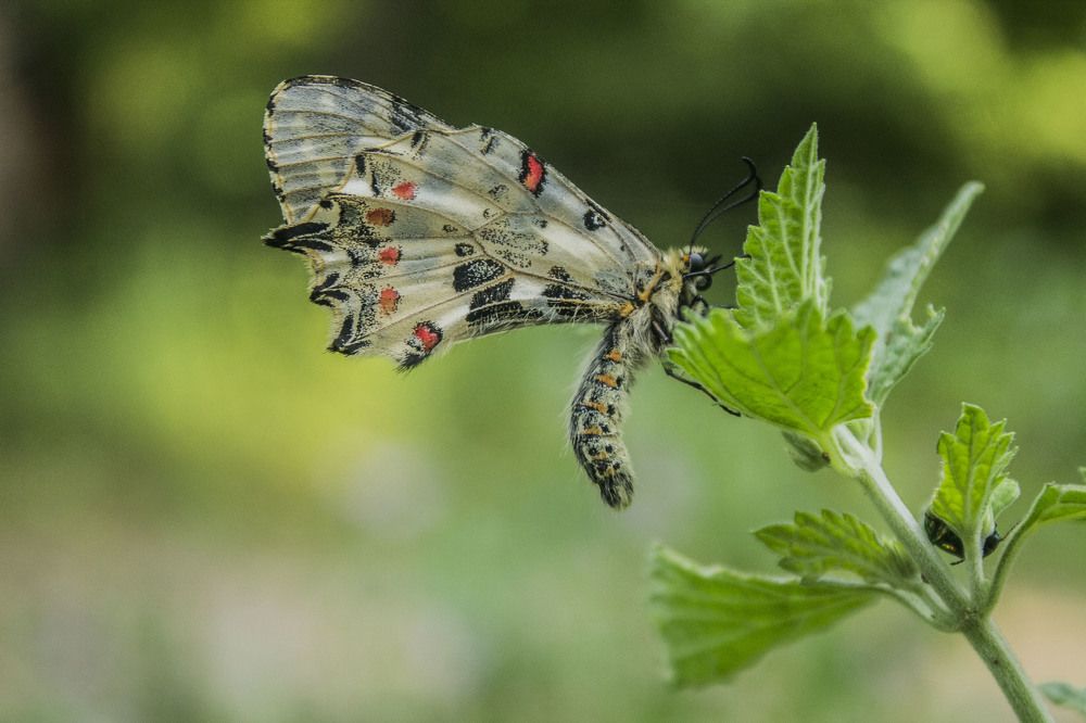 Photograph by iliya levkov