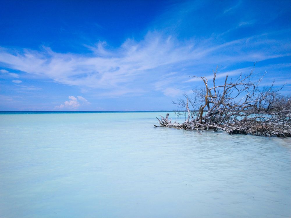 Фотография автора Ксения