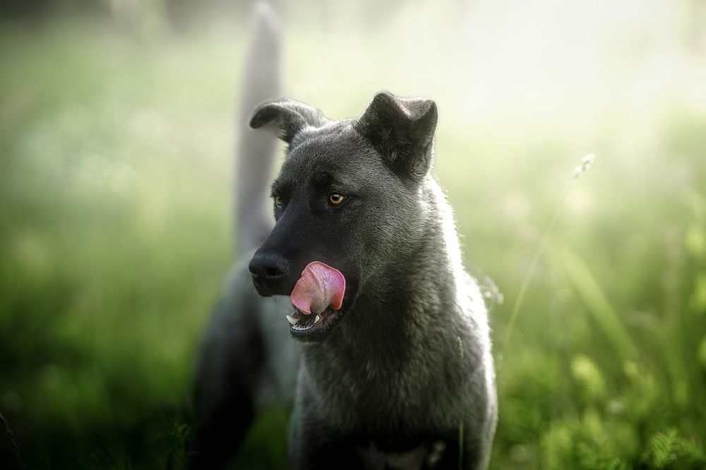 Photograph by Александр Соловьев