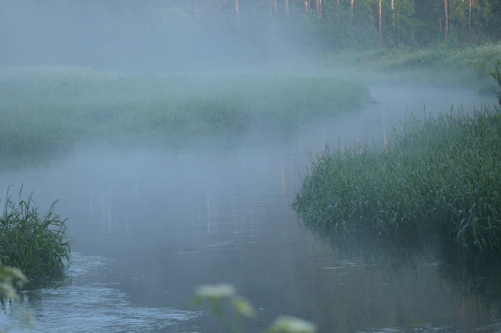 Photograph by Михаил Трусов