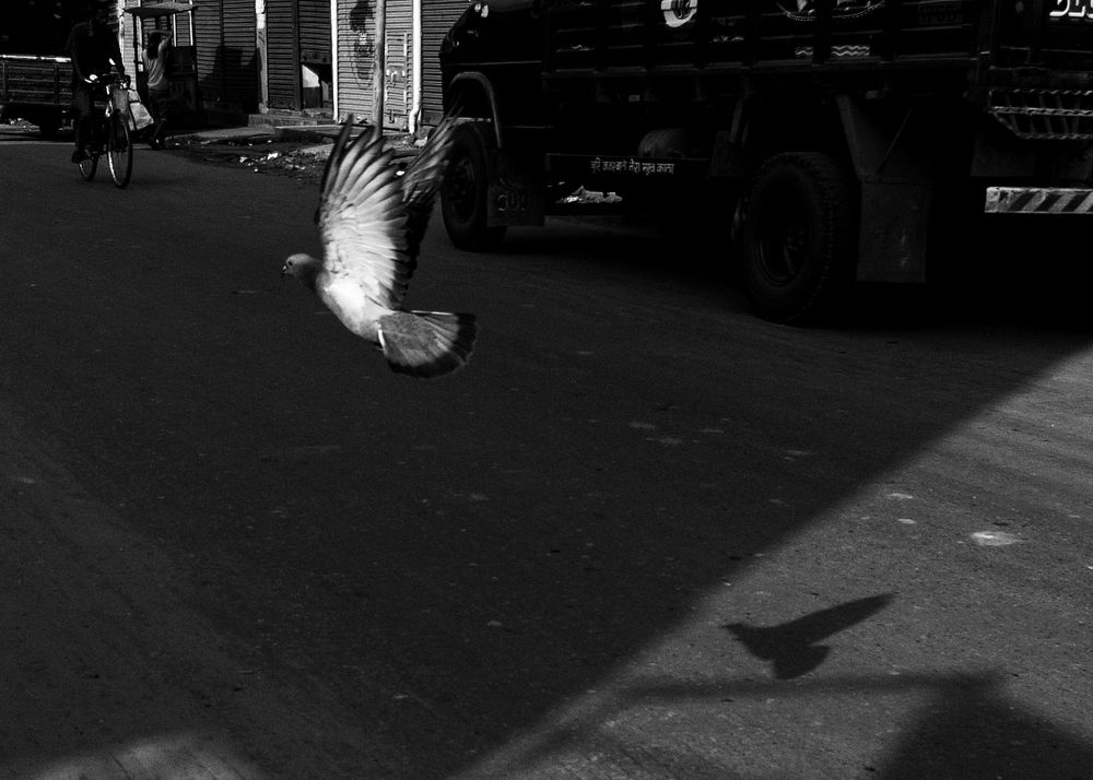 Photograph by Pinak Paul