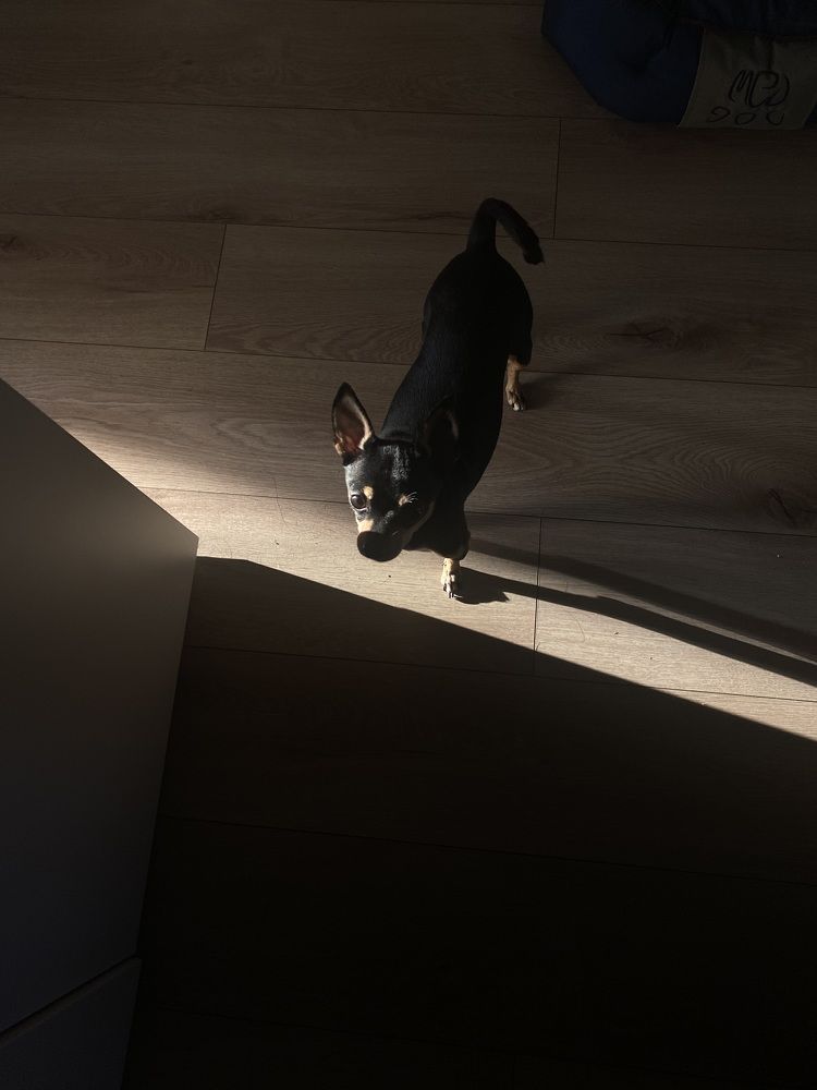 Photograph by Анна Христева