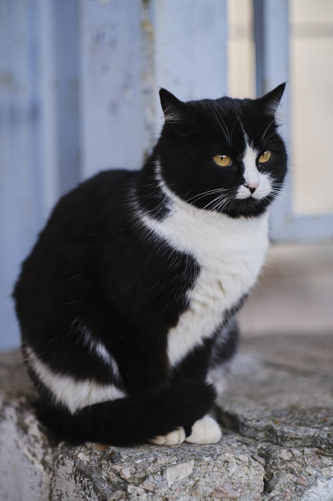 Photograph by Владислав Титов