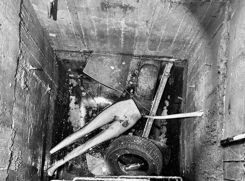 Photograph by Olga Mendosa