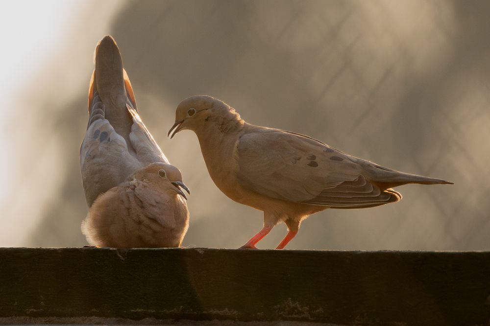 Photograph by María Paula Lozano