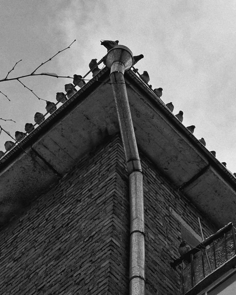 Photograph by Женя Жданова