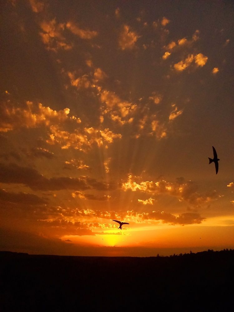 Photograph by Елена Никитина