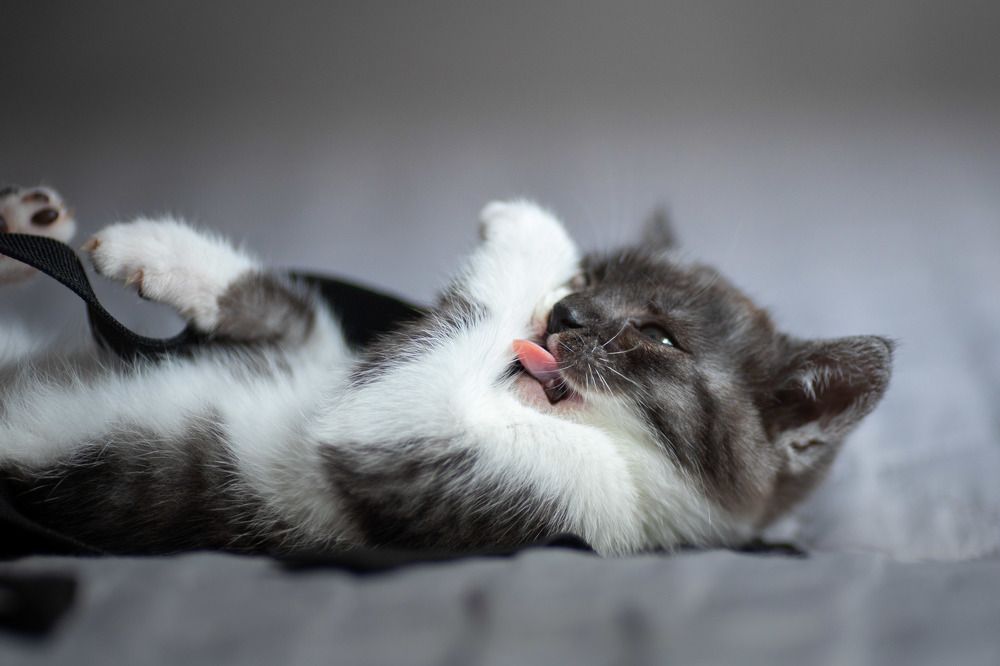 Photograph by Антон Скоморохов