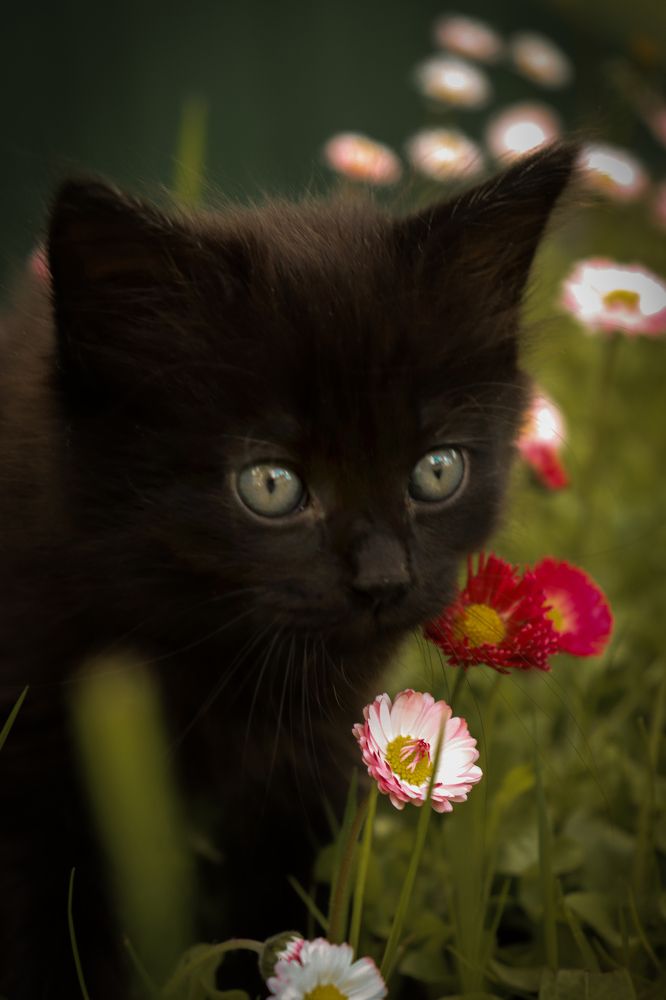 Photograph by Анастасия Селява