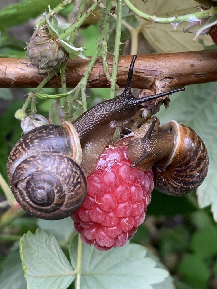 Фотография автора Ирина Шпаковская