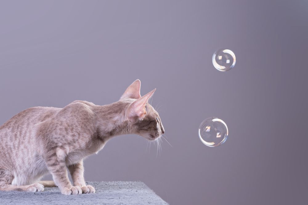 Photograph by наталья залогина