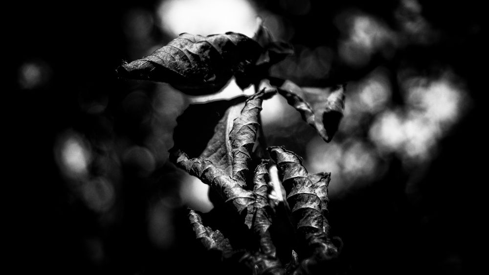 Photograph by Наталья Ерохина