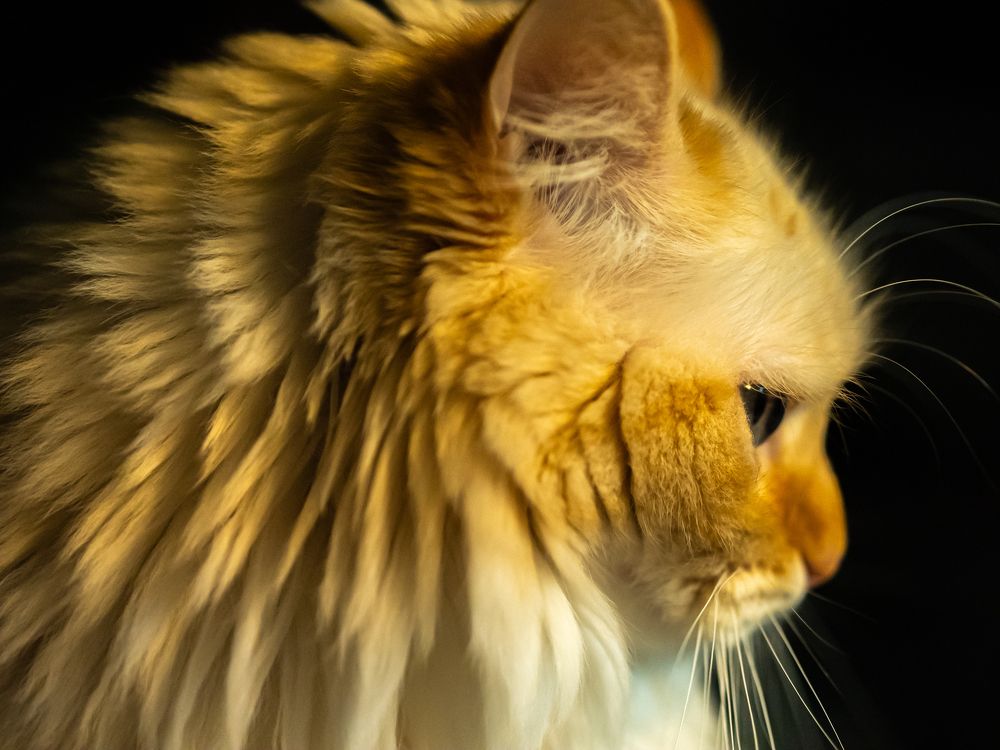 Photograph by Ástor Suárez