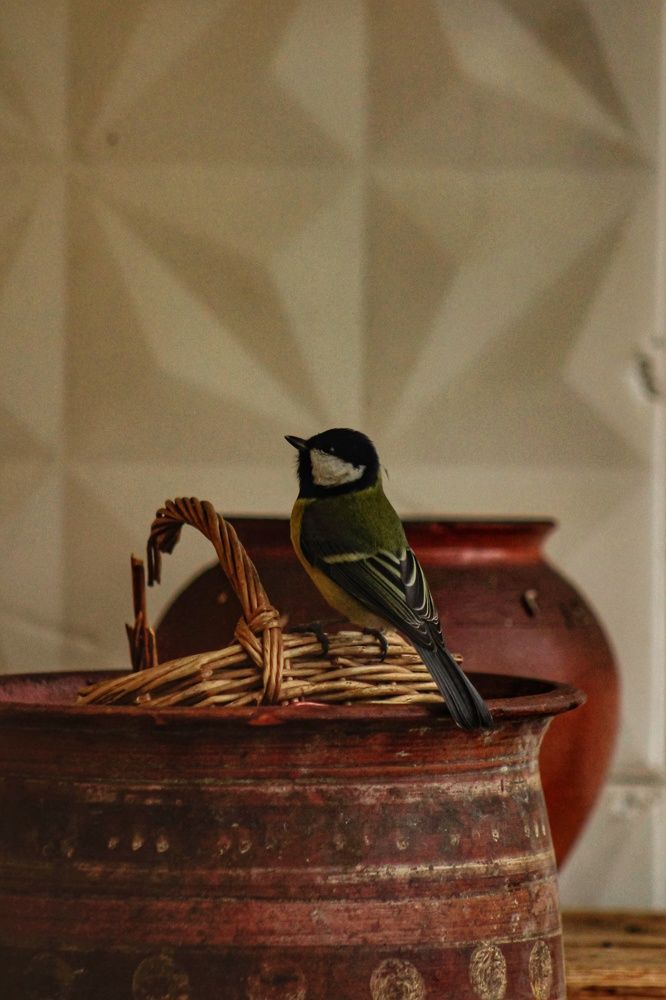 Photograph by Юркин Егор