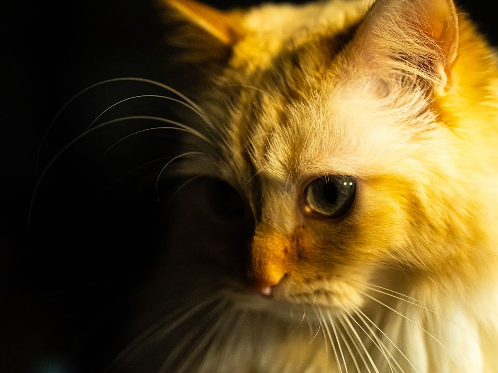 Photograph by Ástor Suárez