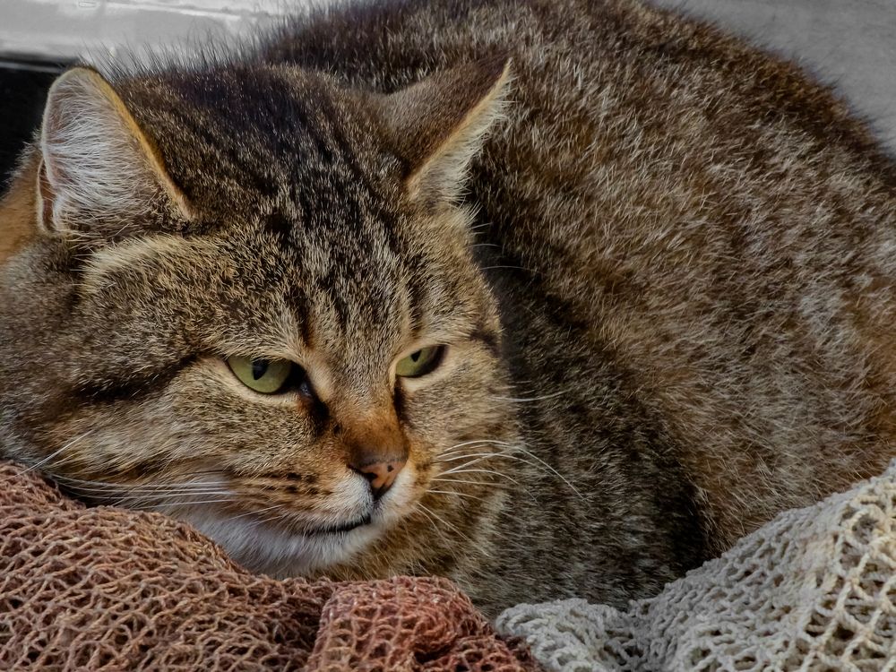 Photograph by Лариса Когтева