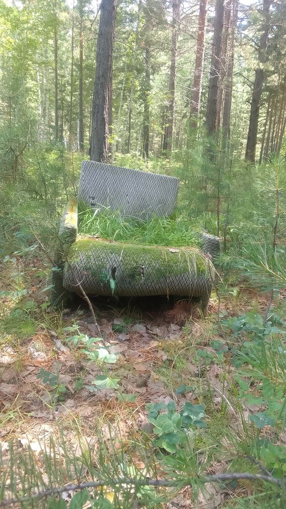 Photo #10794498
