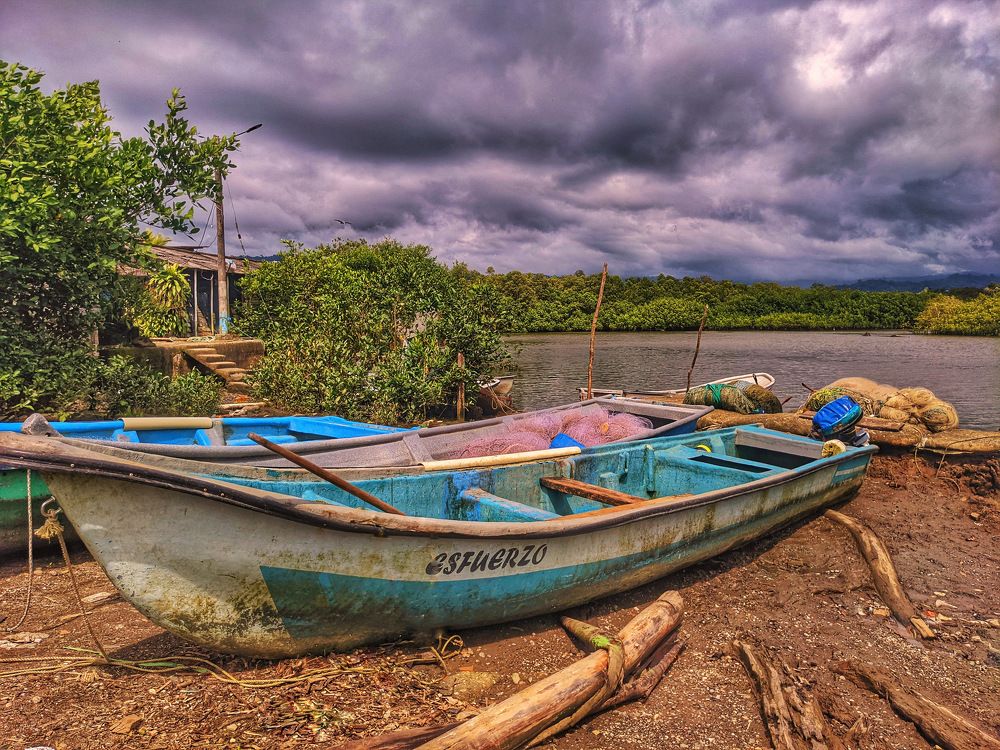 Фотография автора Luz Ortiz