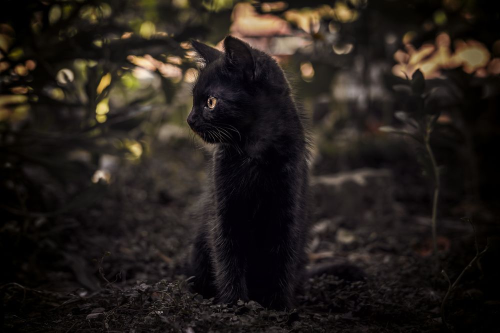 Photograph by Андрей Самородов