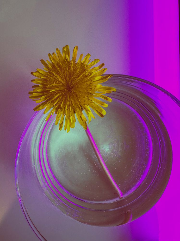 Photograph by Ольга Барулина
