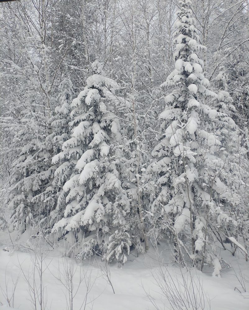 Photograph by Наталья