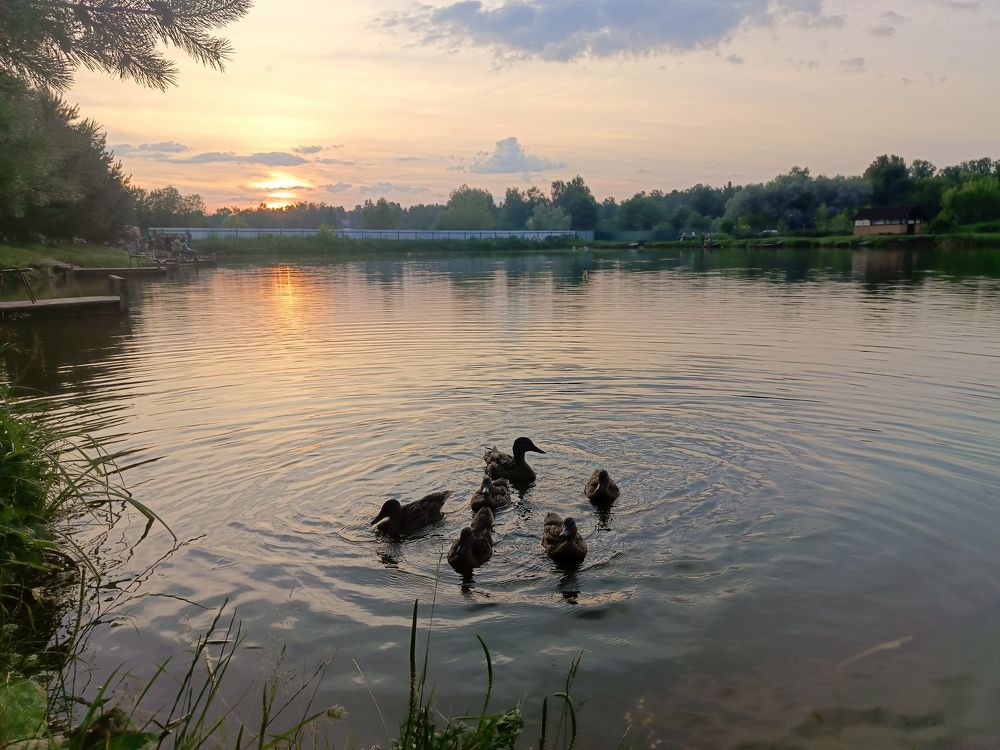 Фотография автора Андрей