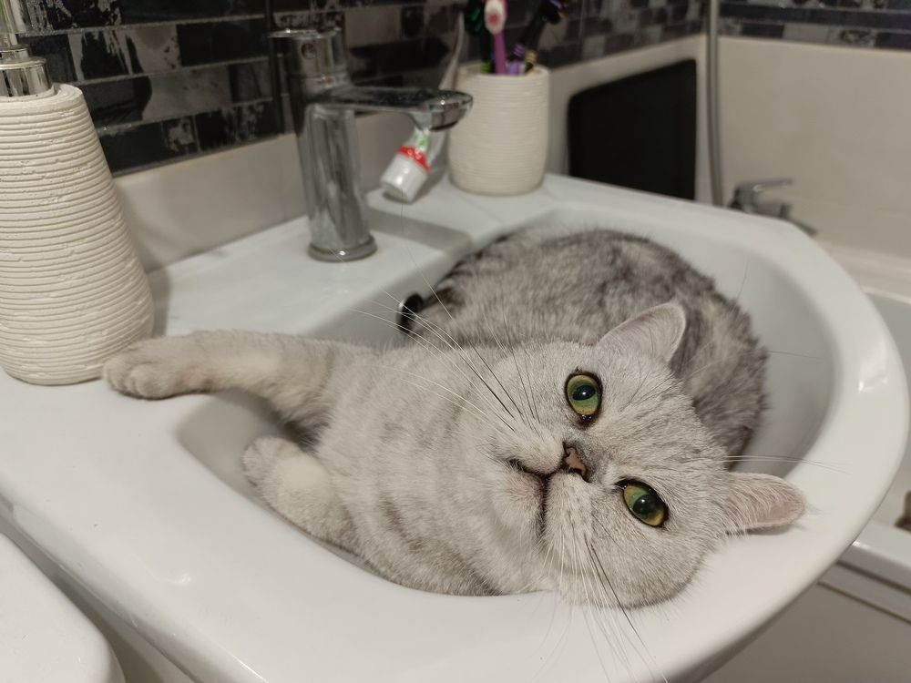 Фотография автора Андрей