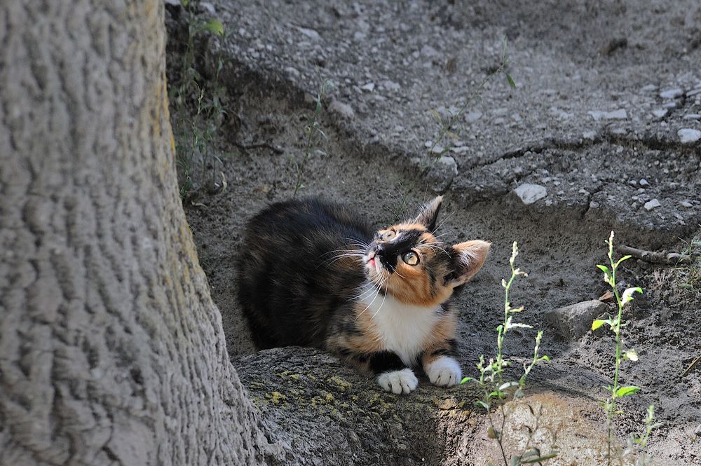 Photograph by Михаил Егоров