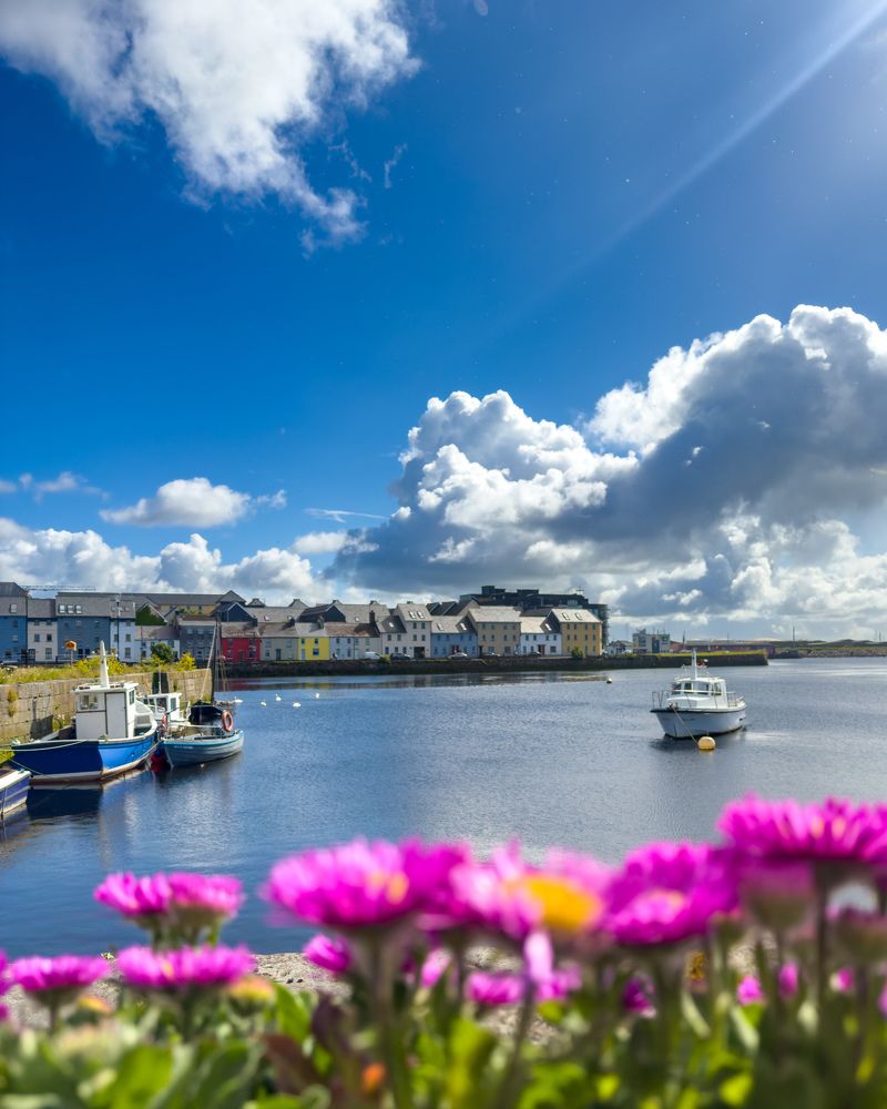 Photograph by Michael Deligan