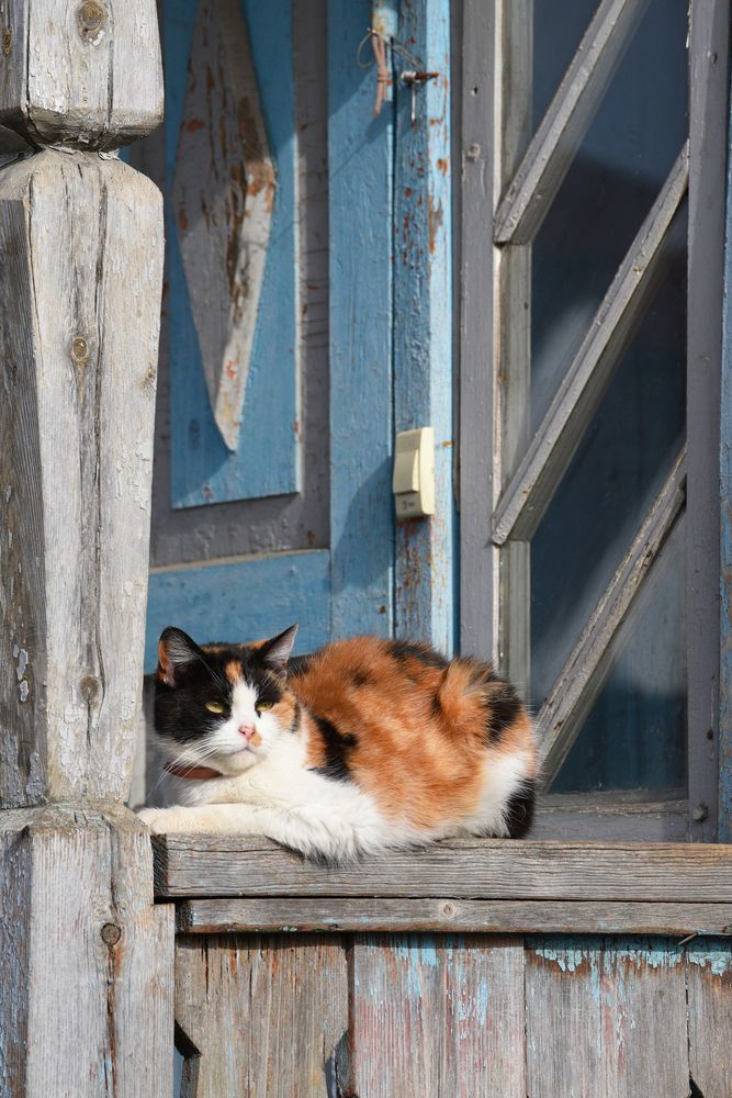 Photograph by Михаил Егоров